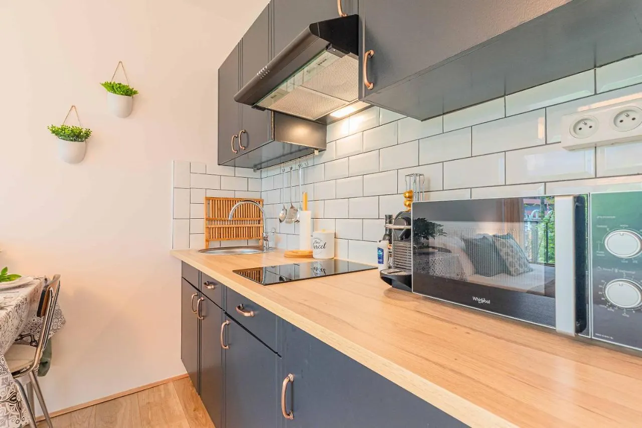 Studio Bali 2** + Parking Prive Inclus Aix-les-Bains Apartment